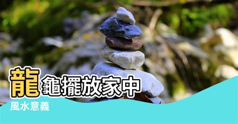 龍龜擺放方向|龍龜的功效、風水意義、擺放方式、供養禁忌和注意事項，該知道。